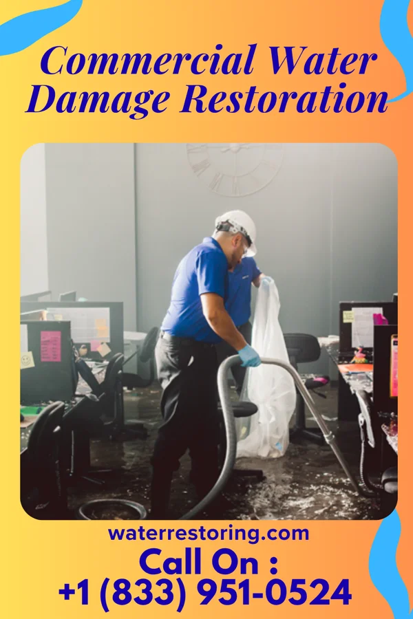 Commercial Water Damage Restoration in Plains, MT